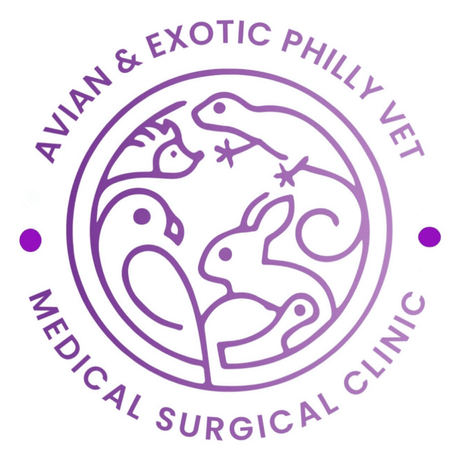 Avian & Exotic Philly Vet Medical Surgical Clinic Logo
